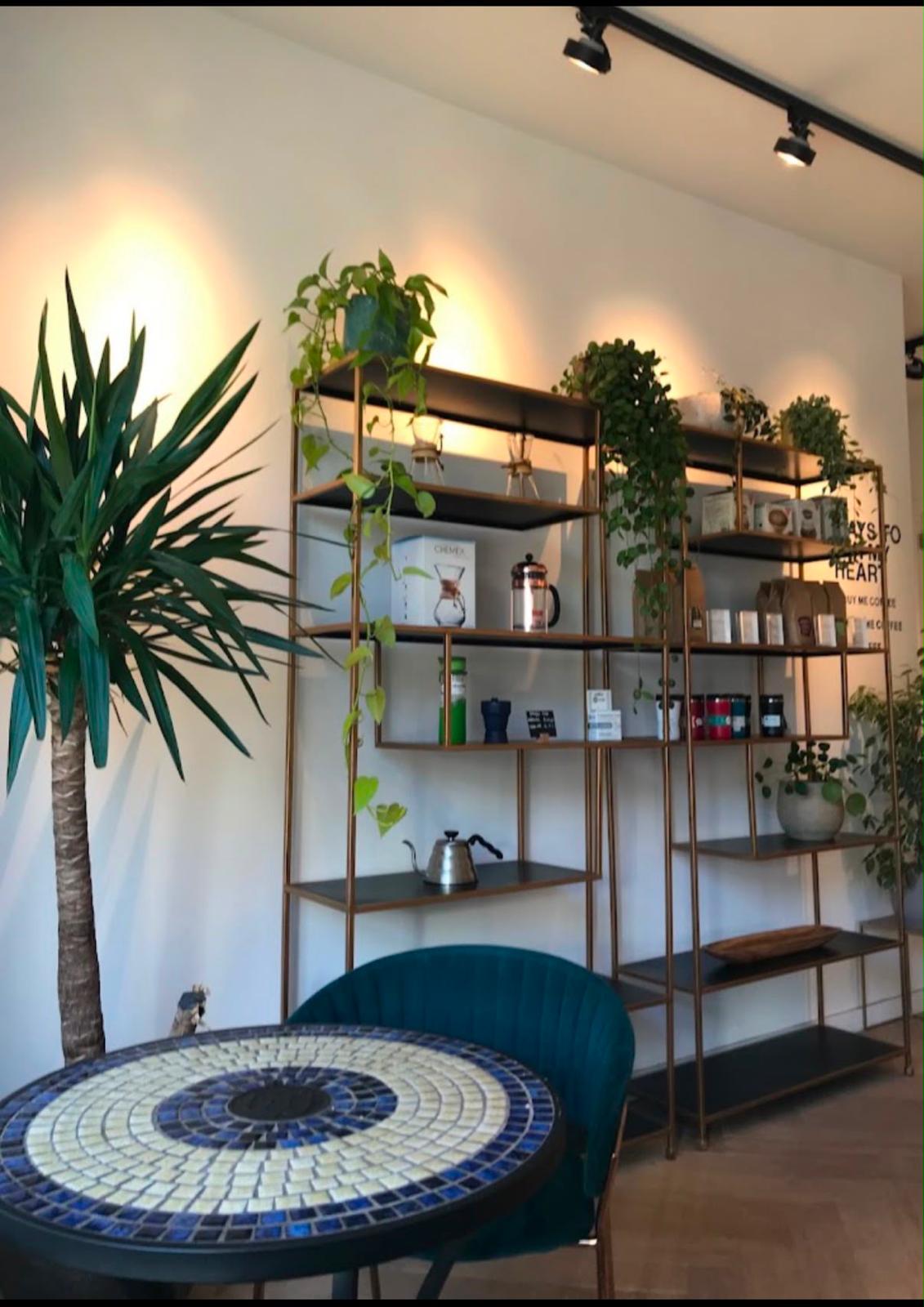 Koffieplank met planten, Chemex en koffiebonen